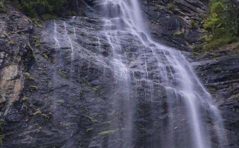 �ƹ����ٲ��μ�����(��ѡ)