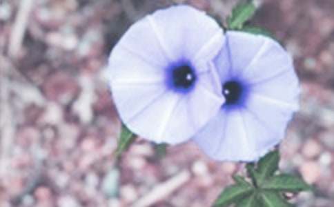 ǣţ�������ġ��ϼ���