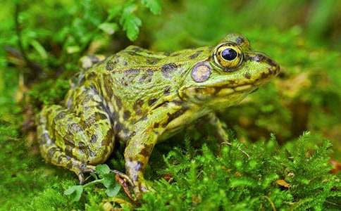 ����д�������һ����