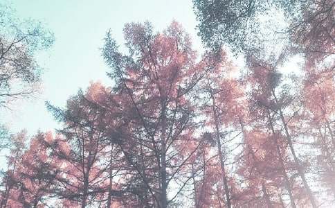 2022���＾�¼ҳ���һ���ţ�ͨ��5ƪ��