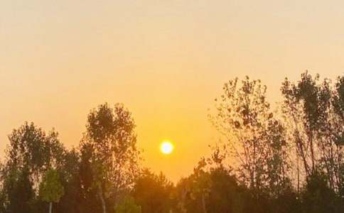 日出写景作文精品(15篇)