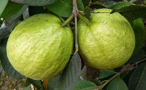 ʯ��״������