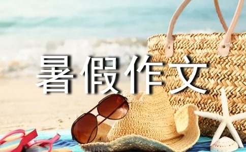 难忘的暑假作文