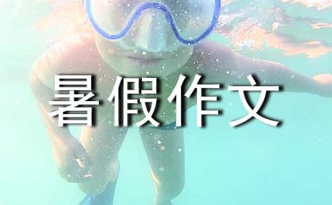 暑假作文集锦(15篇)