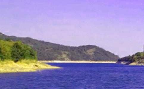 家乡的大水库作文