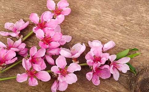 �һ�״������