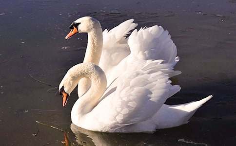 ������������ġ�ͨ�á�