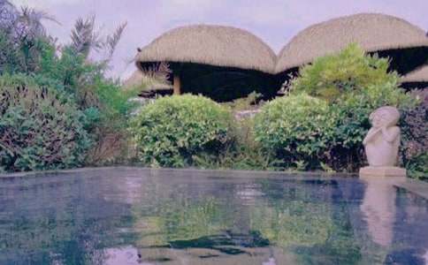 ��Ȫ����500�֣�����5ƪ��