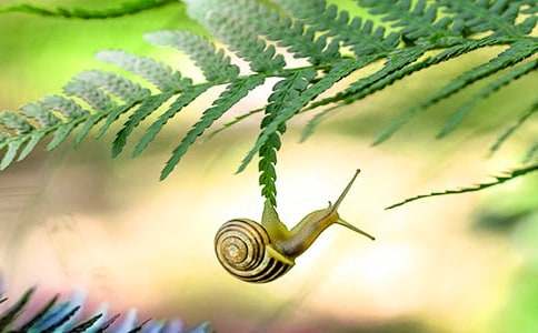 �۲���ţ�ռǻ��ʮƪ