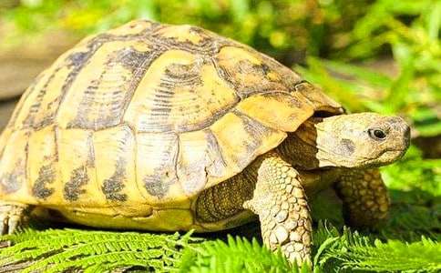 �Ҽҵ��ڹ�״������