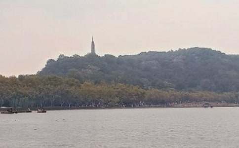 �������μ�����