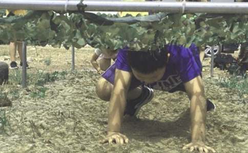 给儿子夏令营激励的一封信