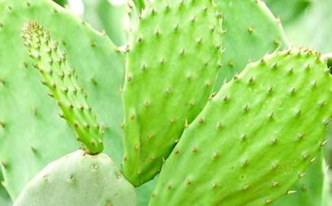 [��]õ�廨��������