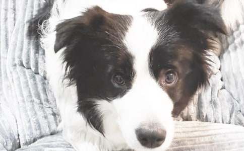 �Ҽҵ�С������800��