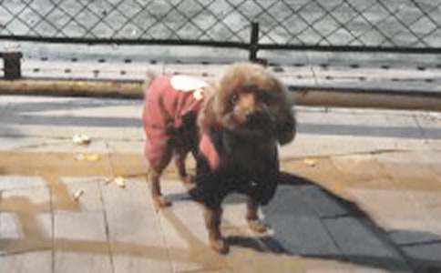 �й��Ҽ�С������500�֣���ѡ52ƪ��