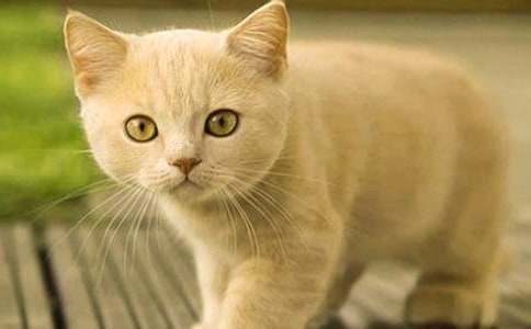 Сè״������(����15ƪ)