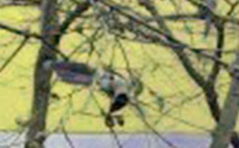 ��С���һ����(��ѡ15ƪ)