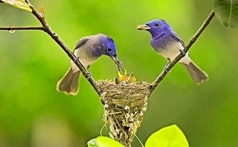 д��С���һ����