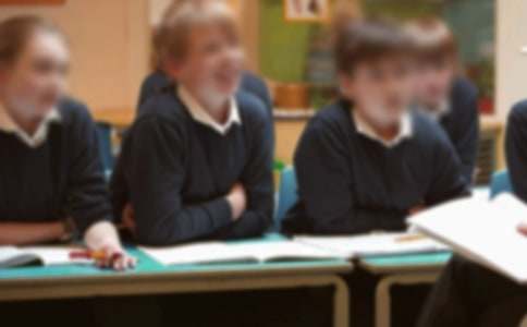 ����ѡ��Сѧ��������300�ֺϼ�6ƪ