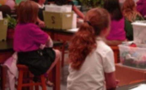 ��������Сѧ��д�����ļ���5ƪ