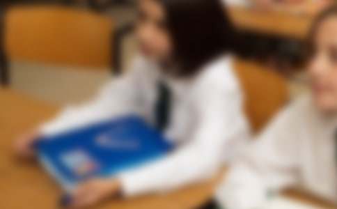 ����Сѧ��д�����ĺϼ�5ƪ