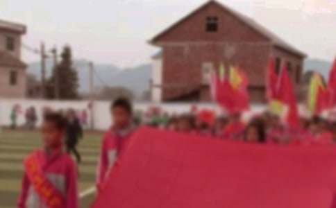 【推荐】小学运动会作文4篇