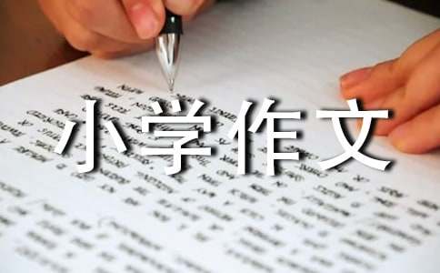 ����ѡ������Сѧ����300��3ƪ