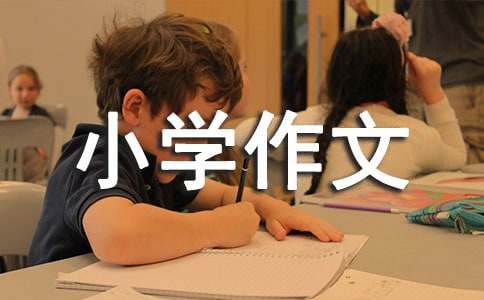 �й�������Сѧ����300����ƪ