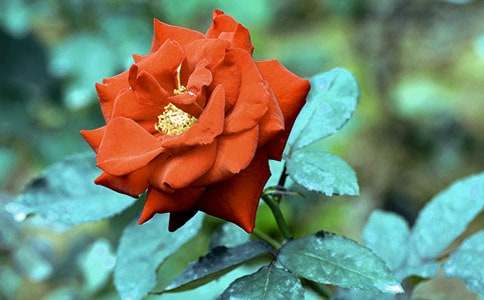 �¼������Ŀ�ͷ