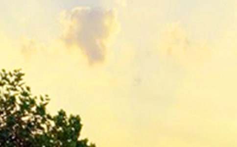 早安经典语录(15篇)