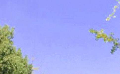 ÿ����簲����������¼