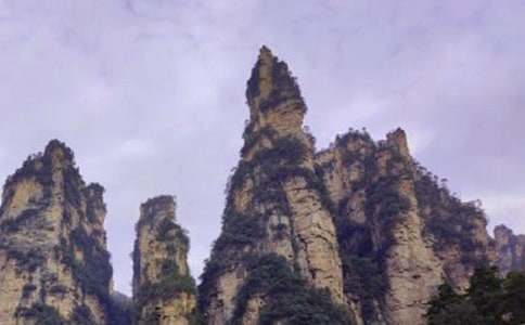 �żҽ��μ����Ļ���(12ƪ)