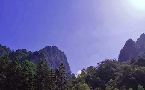 �żҽ��μ�����2ƪ����ѡ��