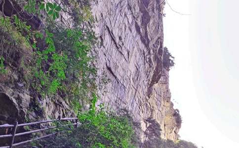 �������żҽ��μ�����