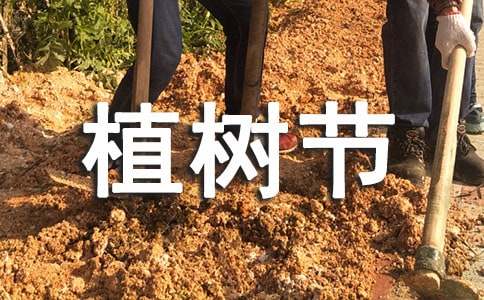 [����]ֲ��������300��