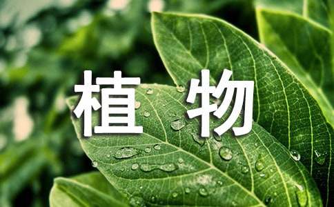 游记植物作文大全7篇