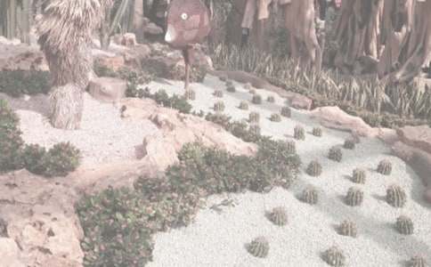 ����ֲ��԰����500�֣���ѡ4ƪ��