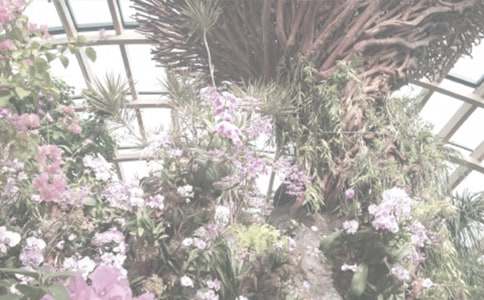 植物园游记作文