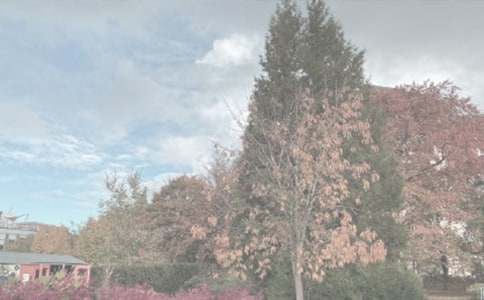 植物园游记作文(15篇)