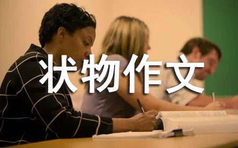 СѼ��״������