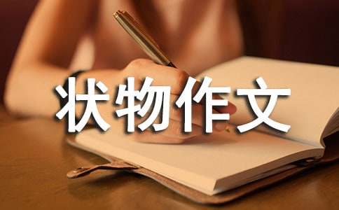 小鸡-状物作文精选15篇