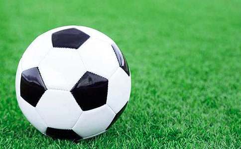 ���꼶��������300�ֻ���ƪ