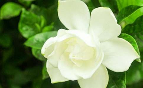 ���ӻ���������