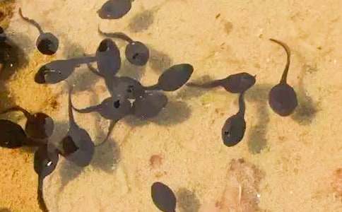 �������������