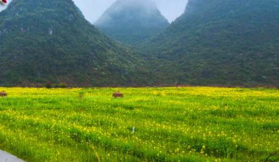 春游记作文(15篇)